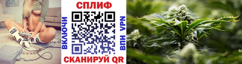 Виды наркотиков купить Курлово ЭКСТАЗИ Кокаин ГАШ Марихуана АМФЕТАМИН
