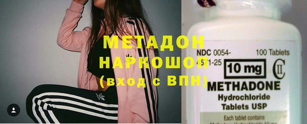 прущие грибы Бежецк