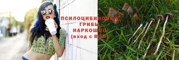 мдпв Няндома