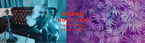 мдпв Няндома