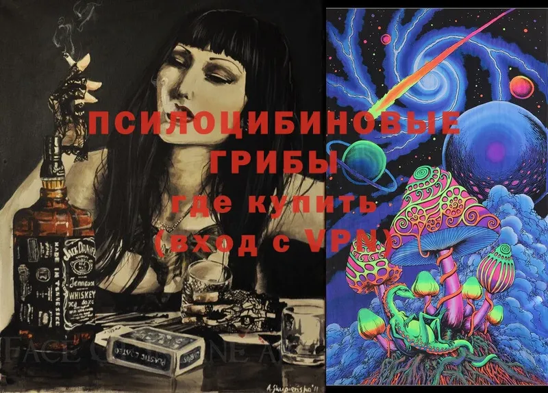 Псилоцибиновые грибы MAGIC MUSHROOMS Курлово